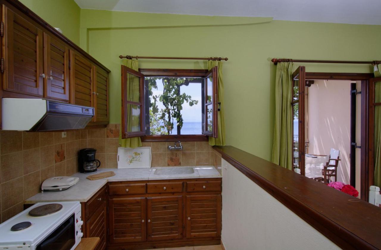 Iro Family Apartments Pelion Lefokastro Exteriér fotografie